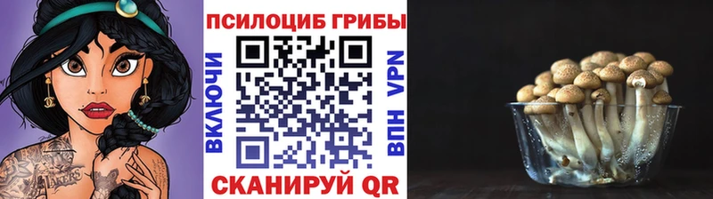купить закладку  Калязин  blacksprut ССЫЛКА  Галлюциногенные грибы Magic Shrooms 